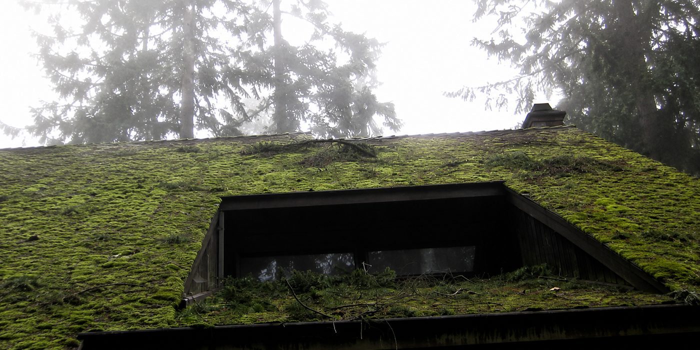 Portland roof before JNR moss treatment — heavy green moss coverage
