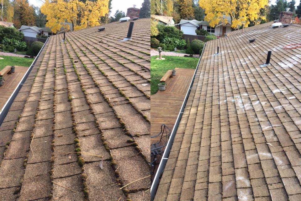 Portland roof moss removed gradually with treatment and air blowing — before with heavy moss lines, after nearly moss-free with no brush or washer used