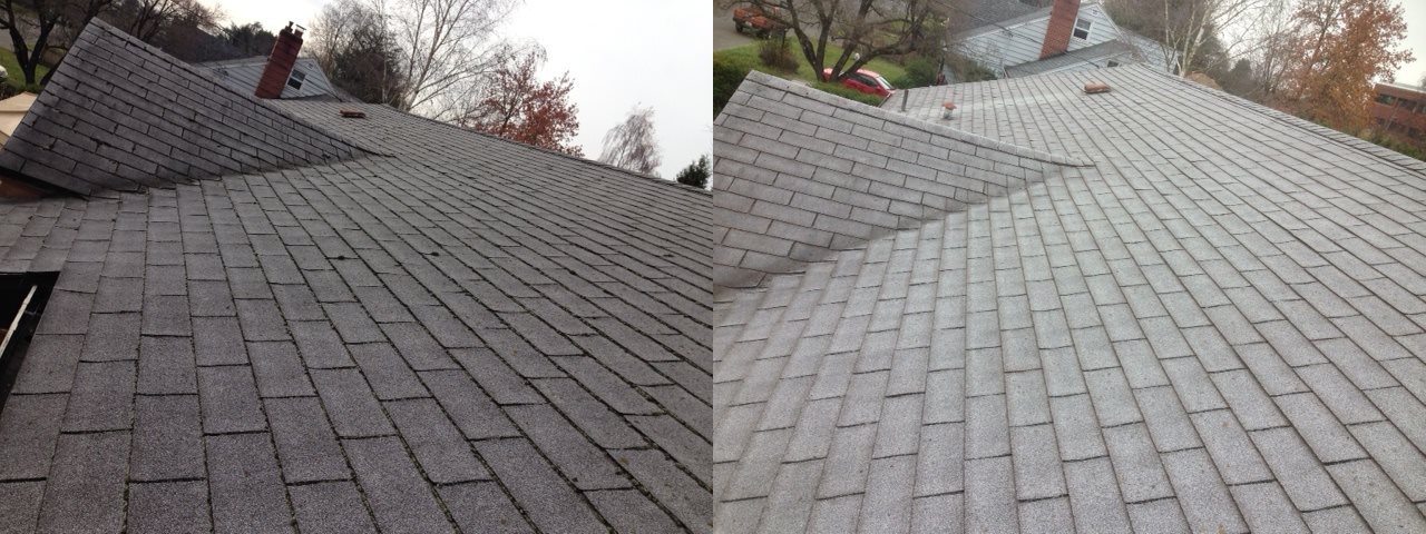 Before-and-after moss removal on an older Portland composition shingle roof