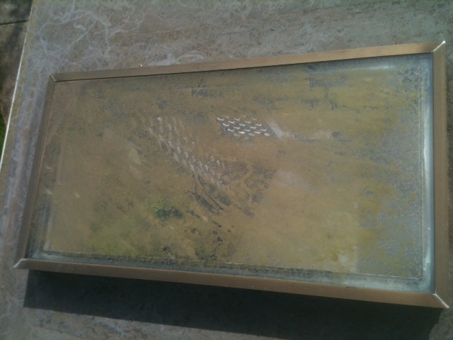 Skylight glass hazy with dirt and grime before cleaning on a Portland roof