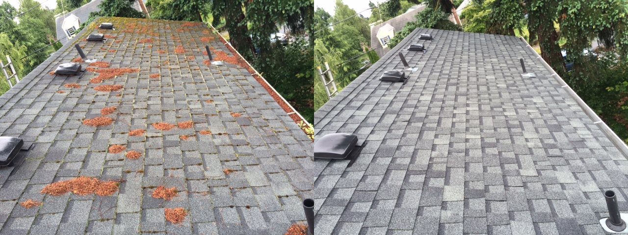 Side-by-side before and after of a composition shingle roof — pine needle debris and moss on the left, cleared and clean on the right