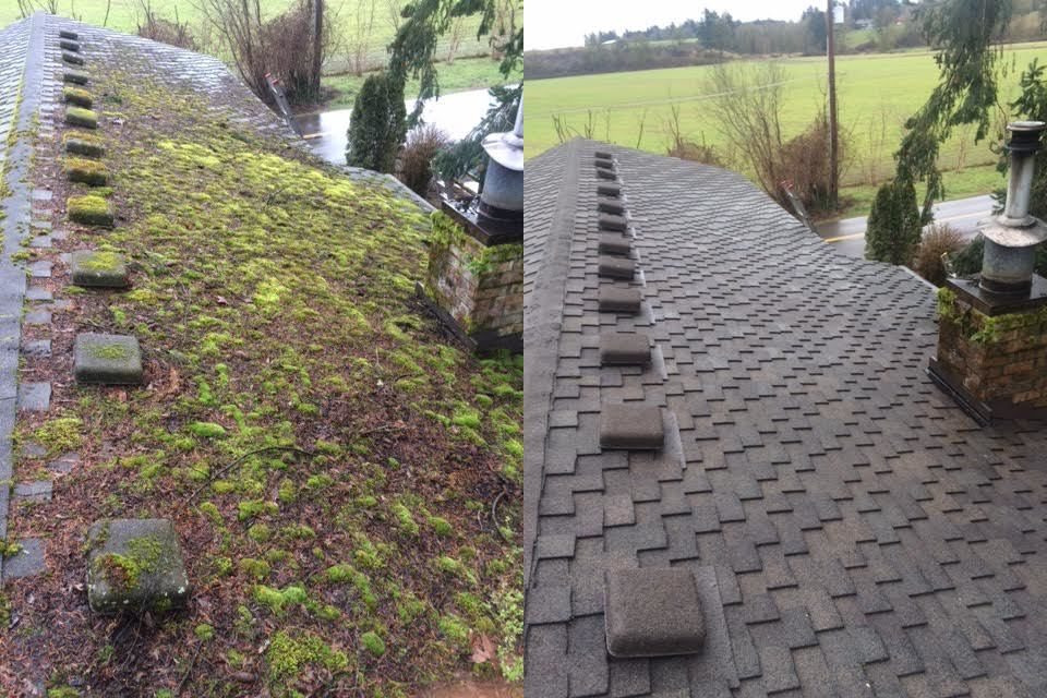 Side-by-side before and after of a roof edge — heavy moss and leaf litter on the left, clean shingles on the right, open field in the background