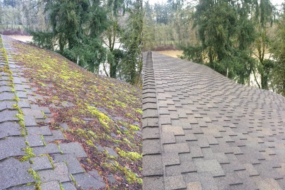 Side-by-side before and after of a roof ridge — moss growth on the left, clean shingles on the right, trees and water in the background