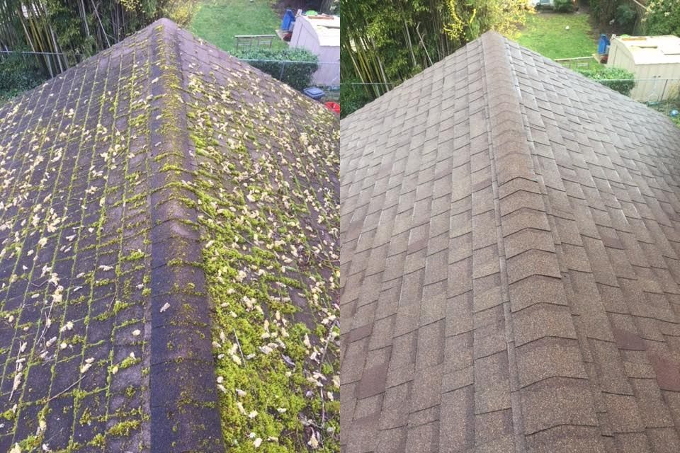 Side-by-side before and after of a composition shingle hip roof — moss and debris packed along the ridge on the left, clean shingles on the right