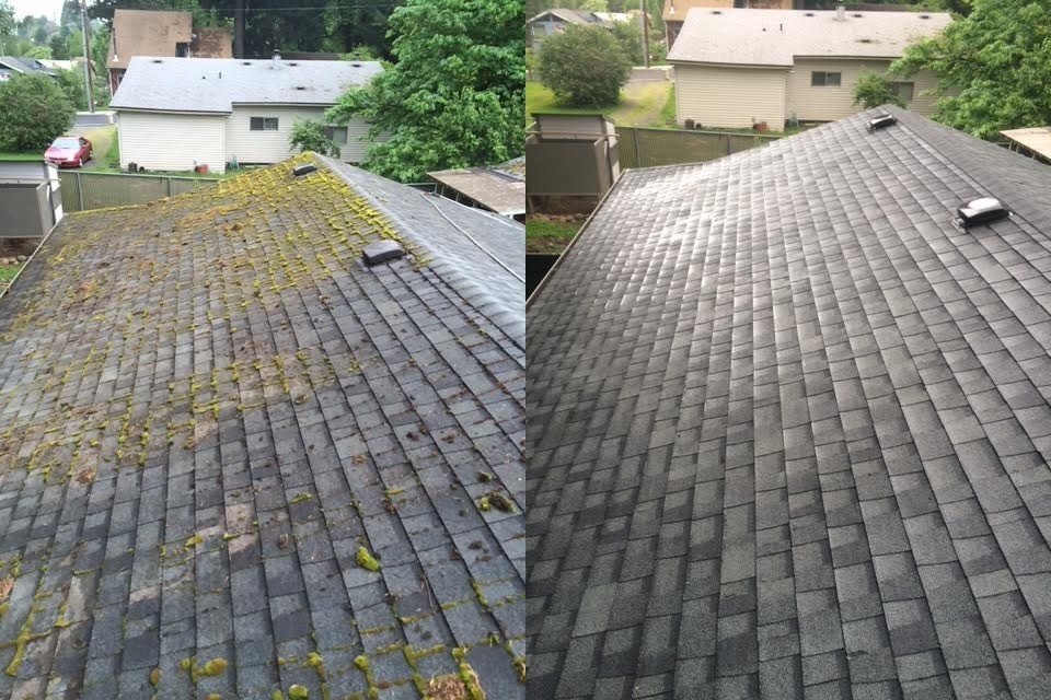 Side-by-side before and after of a composition shingle roof valley — green moss buildup on the left, clean shingles on the right
