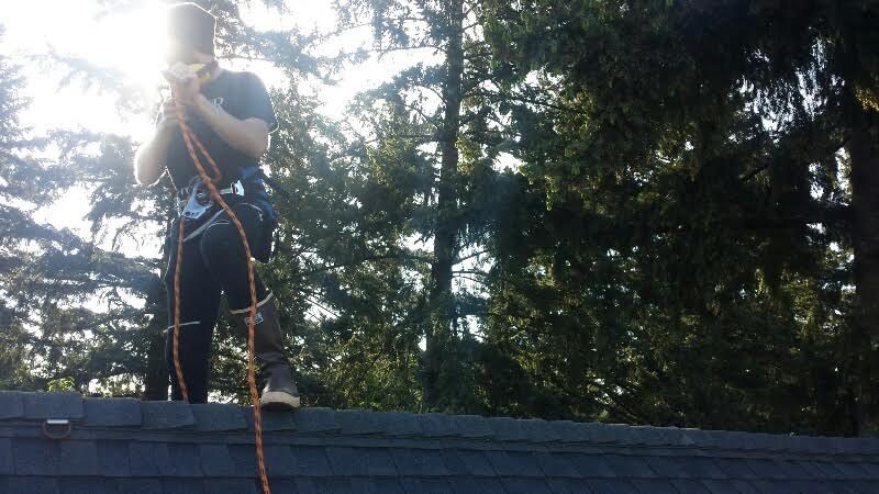 Moss-covered composition shingle roof shaded by mature trees, typical of homes across the Portland metro