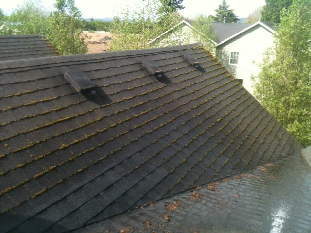 Steep composition shingle roof with moss striping between shingle rows, tie-off cleaning job