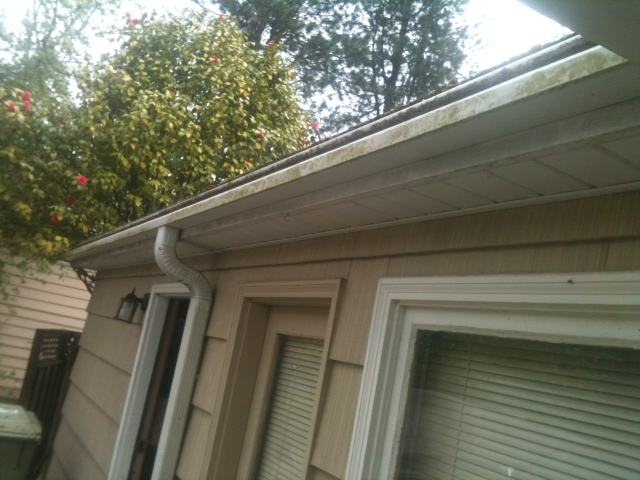 Gutter and leaf guard along a roofline against tan siding