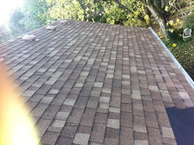 A clean composition roof with no visible moss or staining