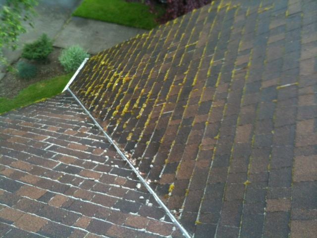 JNR Industries crew treating moss on a Portland composition roof