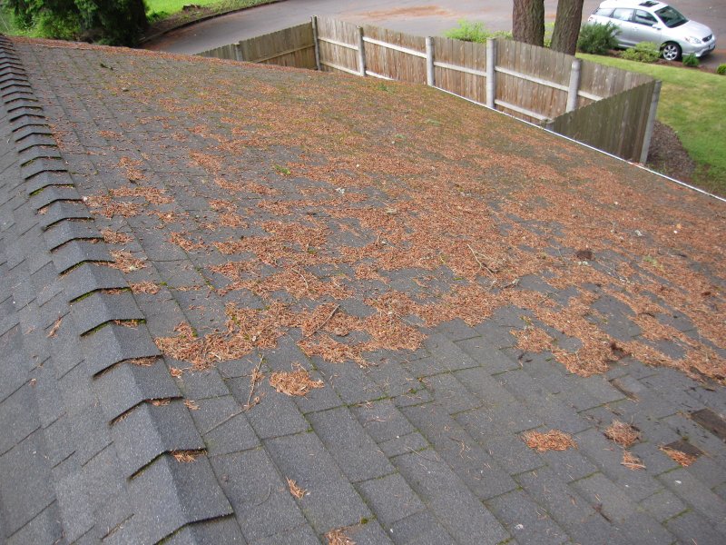 Roof Moss Removal & Cleaning Portland Oregon